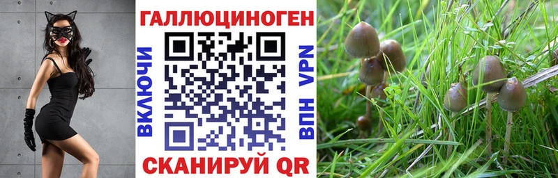Галлюциногенные грибы Cubensis  где найти   Уфа 
